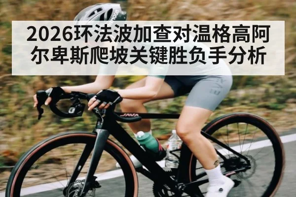 2026环法波加查对温格高阿尔卑斯爬坡关键胜负手分析